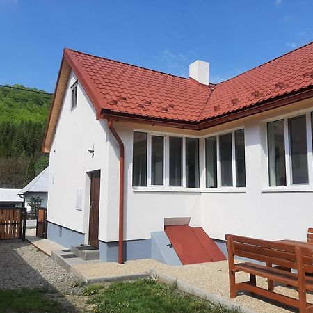 Babickin Dom Villa Medzilaborce Exteriör bild